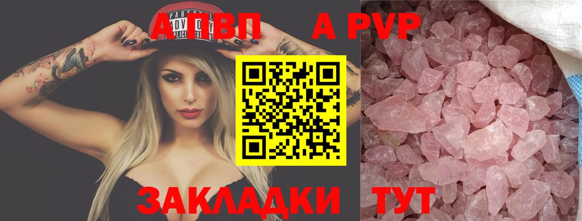 Альфа ПВП СК КРИС Приморско-Ахтарск