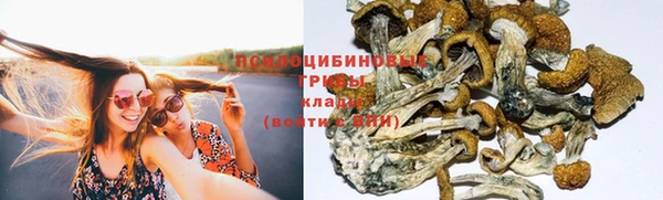 хмурый Осташков