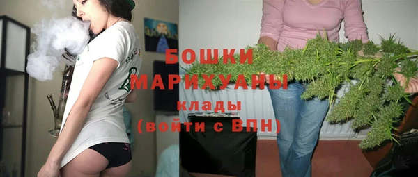 шишки Шали
