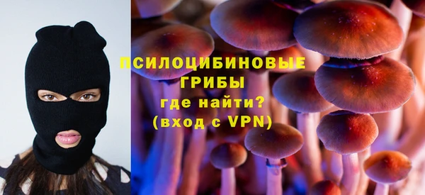 гидропоника Няндома