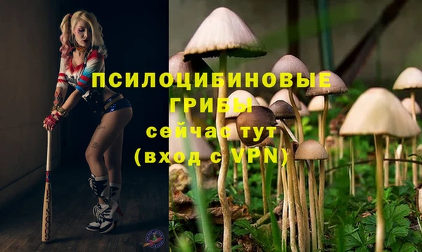 хмурый Осташков