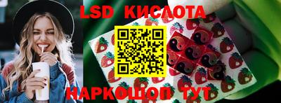 шишки Бийск