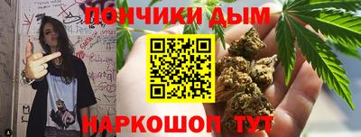 шишки Бийск