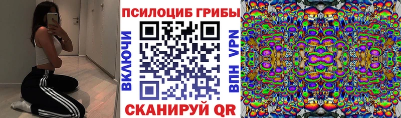 Псилоцибиновые грибы ЛСД  даркнет сайт  Приморско-Ахтарск 
