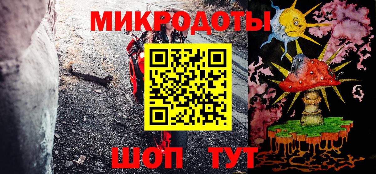 Псилоцибиновые грибы Psilocybine cubensis  Приморско-Ахтарск 