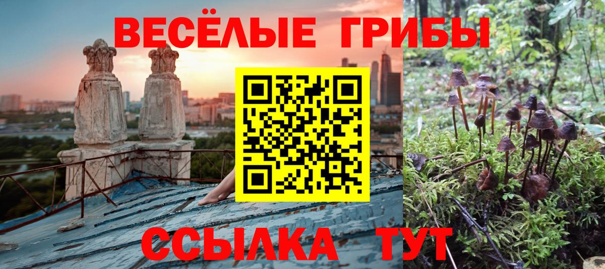 Галлюциногенные грибы Psilocybine cubensis  дарнет шоп  Псилоцибиновые грибы GOLDEN TEACHER  Приморско-Ахтарск  Вход с VPN 