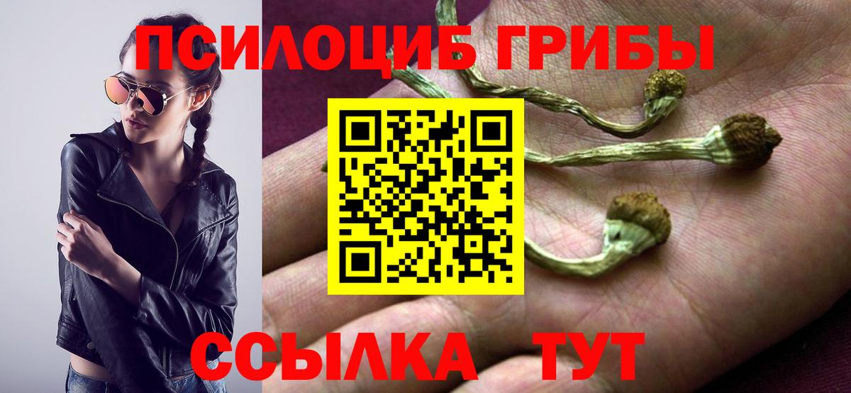 Галлюциногенные грибы GOLDEN TEACHER Приморско-Ахтарск