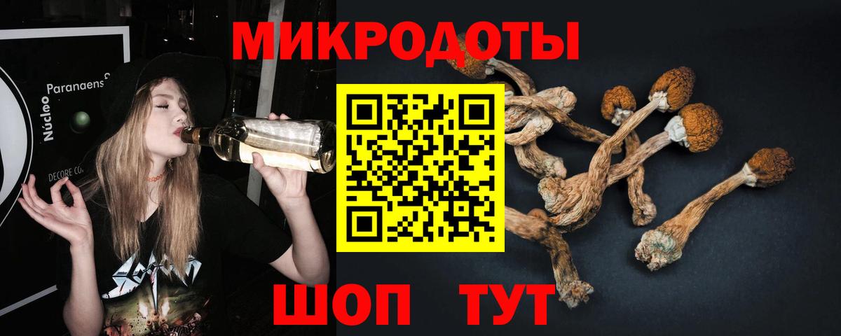 Псилоцибиновые грибы Приморско-Ахтарск